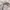 CREWNECK NATIONAL GEOGRAPHIC WHITE CASUAL photo 7