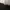 CREWNECK NATIONAL GEOGRAPHIC BLACK CASUAL photo 5