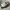 NB 550  photo 2