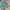 celana pendek vintage UNBRAND celana cargo camo photo 2
