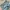 celana pendek vintage UNBRAND celana cargo camo photo 3