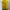 Dress Batik Kuning Hijau Premium Tebal photo 1
