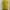 Dress Batik Kuning Hijau Premium Tebal photo 3
