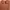 Blouse Pull & Bear Terracotta Lengan 3/4 – Detail Rantai Ele photo 1