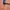 Blouse Pull & Bear Terracotta Lengan 3/4 – Detail Rantai Ele photo 2