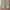 Uniqlo mountain cargo pants Bahan nylon inner polar tech photo 2
