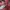 Kipling shoulder bag / tas bahu Kipling  photo 7