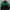 Jaket Vintage Newyork Jets Nfl Apex One Pro Line