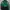 Jaket Vintage Newyork Jets Nfl Apex One Pro Line