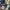 Rare dickies x nicole club for men pants  photo 7