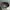 Rare dickies x nicole club for men pants  photo 4