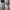 Rare dickies x nicole club for men pants  photo 8