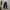 UNIQLO  RIPSTOP PANTS