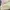 fairycore tanktop babypink skirt lace umpak coquette kawai photo 6
