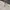 Levi’s Women Boyfriend Color Barely Freezing photo 5