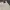 Levi’s Women Boyfriend Color Barely Freezing photo 6