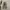 REALTREE NYLON CARGO PANTS  photo 1