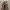 REALTREE NYLON CARGO PANTS  photo 2