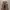 REALTREE NYLON CARGO PANTS 