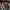 REALTREE NYLON CARGO PANTS  photo 4