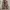 REALTREE NYLON CARGO PANTS  photo 3
