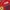 Scuderia Ferrari Vintage F1 Team Racing Jacket  photo 2