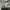 Long Sleeve tee UNIQLO Light Grey Unisex photo 4
