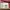 Vans old skool photo 3