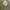 Longsleeve Pocket Restoration Khaki Unisex photo 1