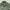 Flight Jacket Suede Army photo 4