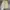 celana pendek jort pants GAP khakis cargo fatigue second photo 1