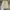 Celana Pendek Jort Pants GAP Khakis Cargo Fatigue Second