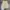 celana pendek jort pants GAP khakis cargo fatigue second photo 2