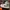 Nike air jordan 1 Mid Smoke Grey photo 1