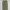 Dickies Skater Indie Casual pants Pria khaki tan photo 2