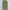 Dickies Skater Indie Casual pants Pria khaki tan photo 1