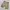 Alpha Industries Short Pants Cargo Military Beige photo 3