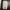 URBANDTYPE NYLON PANTS photo 4