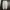 URBANDTYPE NYLON PANTS photo 1