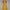 Dress sabrina yellow photo 2