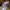 Emma Clothes High Rise Gurkha Pants photo 5