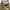 Emma Clothes High Rise Gurkha Pants photo 3