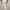 Vintage Y2K Skirt Wanita White