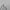Fear of God ESSENTIALS Luxury Casual Jumper Pria gray photo 3