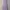 Dress kutung pomelo lilac photo 2