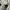 Converse Chuck Taylor All Star 70s Hi Saddle Egret Original photo 6