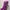 barney photo 3