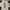 Zara Girls Christmas Disney Dress Sweatshirt Style 6 Years B photo 1
