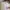 Zara Girls Christmas Disney Dress Sweatshirt Style 6 Years B photo 3