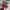 Zara Girls Christmas Disney Dress Sweatshirt Style 6 Years B photo 2